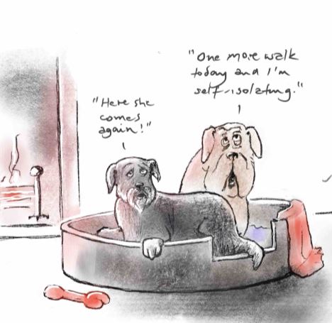 LockIT8's tweet photo. Seeing the world from a dogs point of view... #CoronaLockdown #DogsofTwittter #dogwalking #lock_IT #cartoonists https://t.co/E7pJxYm56D