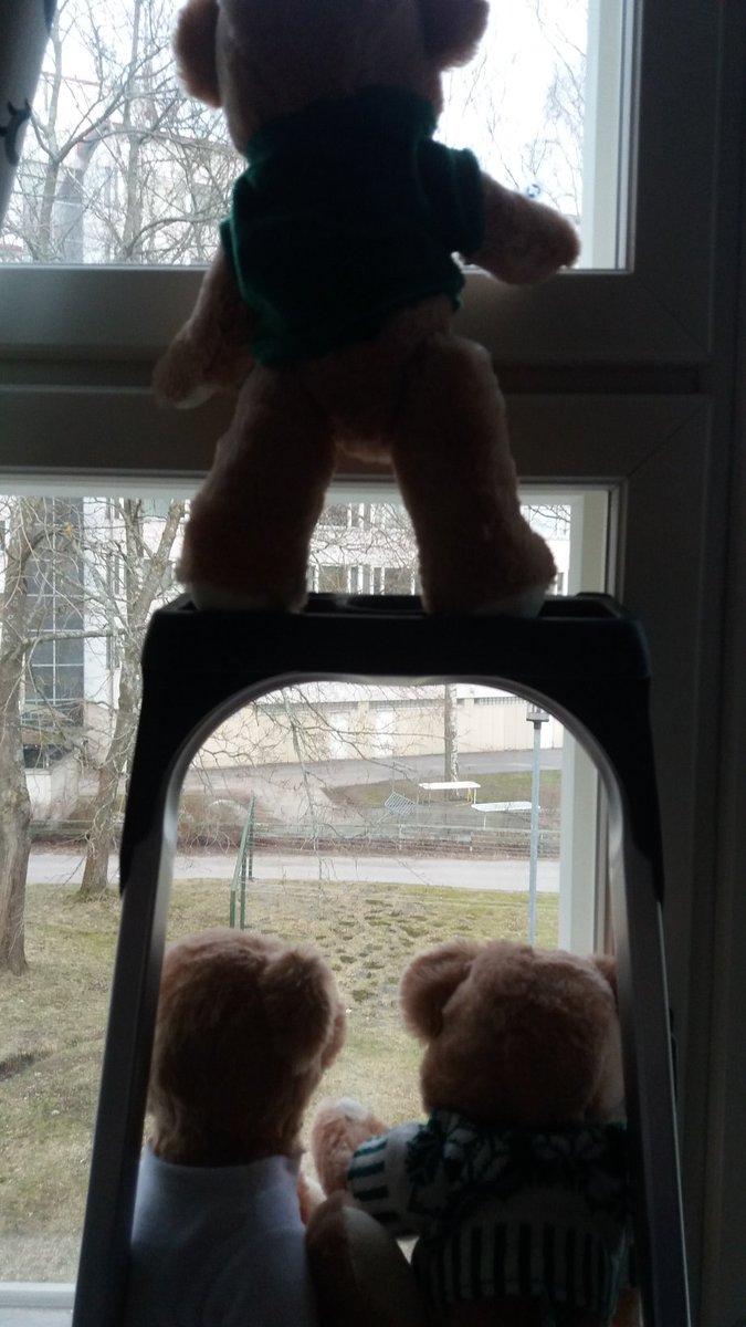 RiittaAK's tweet photo. Taloudessa majailevat nallet kiipesivät tikkaille tarkkailemaan tilannetta. #etsinalle #nallejahti https://t.co/zTAf5dKgie
