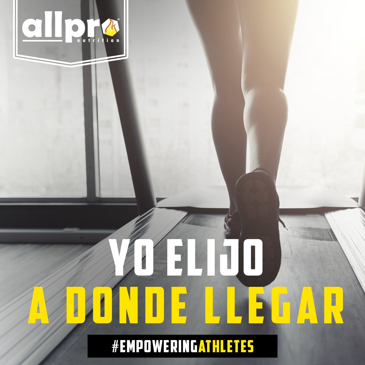 Allpro_Nutri's tweet photo. #allpro #AllproNutrition #empoweringathletes #EnergyBars #TeamAllpro #preworkoutbar #greenprotein #energymix #barra #proteina #sport #rutina #ejercicio #deportes #box #muaythai #karate #kungfu #natacion #gym #motivacion #superacion #suplemento #crossfit https://t.co/iijCYA0NYr