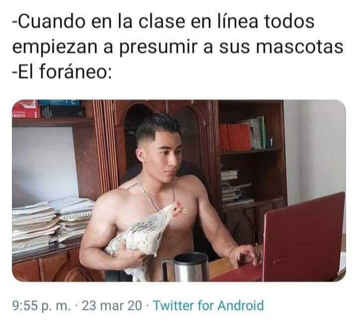 azulmilanini's tweet photo. Órale inche ranchero @Carlos__Arroyo 🐓 cc @FeyoReyes @pablo2779 #amonoooooos #YoMeQuedoEnCasa #EnLineaPorLaSalud https://t.co/fDJZ9uztIe