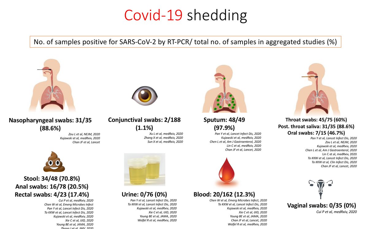sid8998's tweet photo. Shedding frequency of #SARS_COV_2 in various clinical samples. Summary: highest in sputum (for those with productive cough), high in nasopharynx and saliva, considerable in stool, unusual in blood, negligible in urine, conjunctival swabs and vaginal swabs
#COVID19 #coronavirus https://t.co/eJ4OA3ZLFb