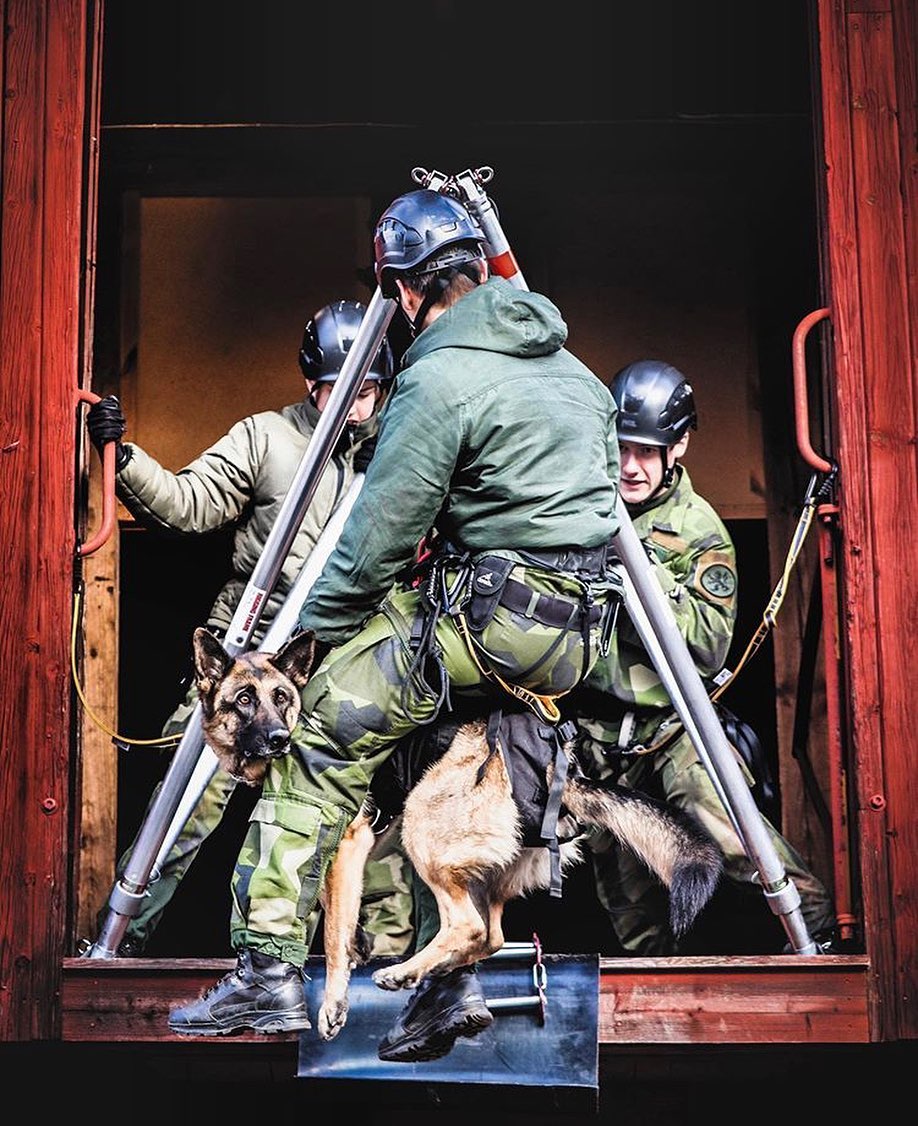 MWD_Mag's tweet photo. Photo: @gota_ingenjorregemente
・・・
#ASOK #Ing2 #försvarsmakten #svfm #K9 #EOD #säkpol #MWD #military #workingdog #k9handler #k9ltw #k9unit https://t.co/IwQoJtE9JP