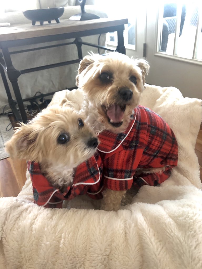 MHaynal's tweet photo. Pajama Day has Lexi already yawning and thinking about a nap 🥱😴😂 https://t.co/6QpqlqTEiv