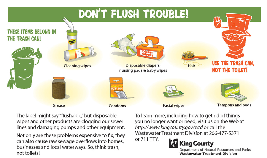 Don't flush trouble