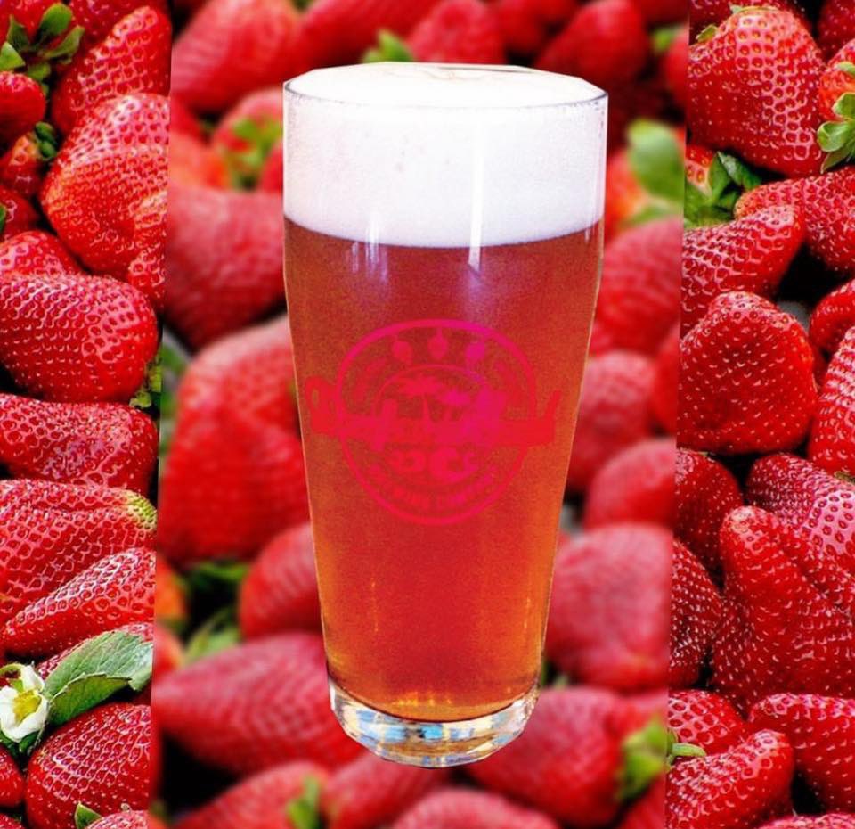 🍓#StrawberryCreamAle Ontap🍓WkEnd FillSpecial: Buy1 GrowlerFill and Get Your 2ndGrowlerFill FREE. CALL Ahead FRI 4-6p + SAT 2-5p 844-352-BEER#5 Must have 2 Clean Growlers (64 oz/32oz) to Qualify. Restrictions May Apply #SupportLocal #independentbeer #Daytona <a href="/daytonaontap/">daytonaontap</a>