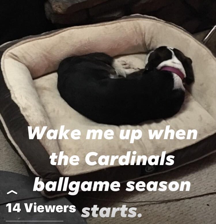 JerrySutterfie2's tweet image. 