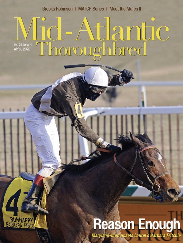 HerringswellStb's tweet photo. MAJESTIC REASON on the cover of the upcoming April issue of @MidAtlanticTB magazine. #Marylandbred #wegrowhorses    🏇🌻 https://t.co/mhCyjqQCjw