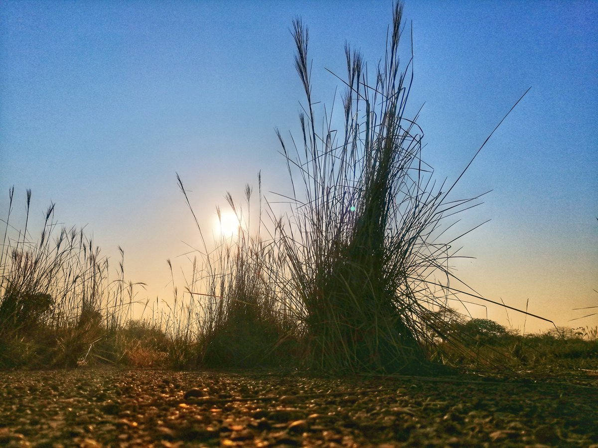 JosuManuelAven1's tweet photo. Tú eres la motivación!
#Corroamiritmo #soyrunner #inspirarnoliderar #Amolasrutas #siesegordopudo #yoelegicorrer porque #corrersana @ASICSmexico #loverunsmile #aquiyasecorrio #bendecido #agradecido #inspirandometas #NRC #MiniTrail https://t.co/B6YqTrbVhA