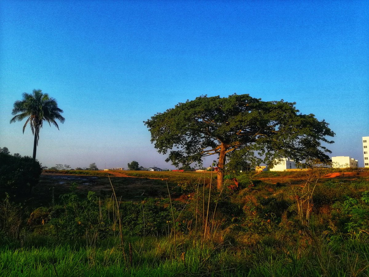 JosuManuelAven1's tweet photo. Tú eres la motivación!
#Corroamiritmo #soyrunner #inspirarnoliderar #Amolasrutas #siesegordopudo #yoelegicorrer porque #corrersana @ASICSmexico #loverunsmile #aquiyasecorrio #bendecido #agradecido #inspirandometas #NRC #MiniTrail https://t.co/B6YqTrbVhA