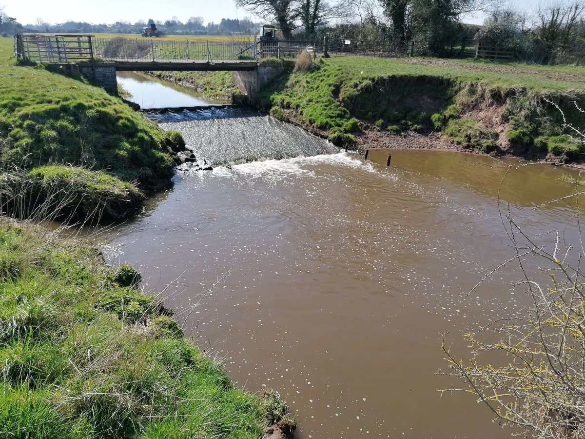 cdon82's tweet photo. A few snaps on a walk behind the house. Lucky is nice weather and not stuck in a built up area. @ShitChester #greatbarrow #IsolationLife https://t.co/JgDEnxadkZ