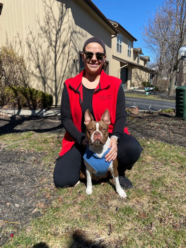 shell_bay19's tweet photo. #NCSpiritWeek @NorthColonieCSD School spirit for all 3 of my schools! Shaker, Loudonville, and Boght Hills 💙 (Winston had to jump in too) https://t.co/KeZNJ01FY0