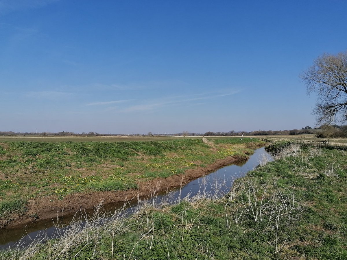 cdon82's tweet photo. A few snaps on a walk behind the house. Lucky is nice weather and not stuck in a built up area. @ShitChester #greatbarrow #IsolationLife https://t.co/JgDEnxadkZ
