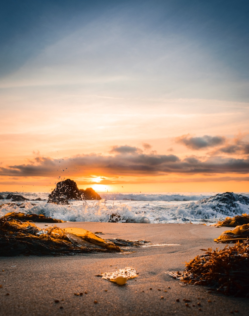 There's nothing quite like an Orange County sunset.