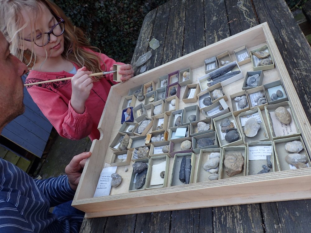 outfossiling's tweet photo. Team work for #fossilconservation and #fossilprep on another draw of fossils in old matchboxes while #selfisolating for #FossilFriday https://t.co/lrtidRgTzY