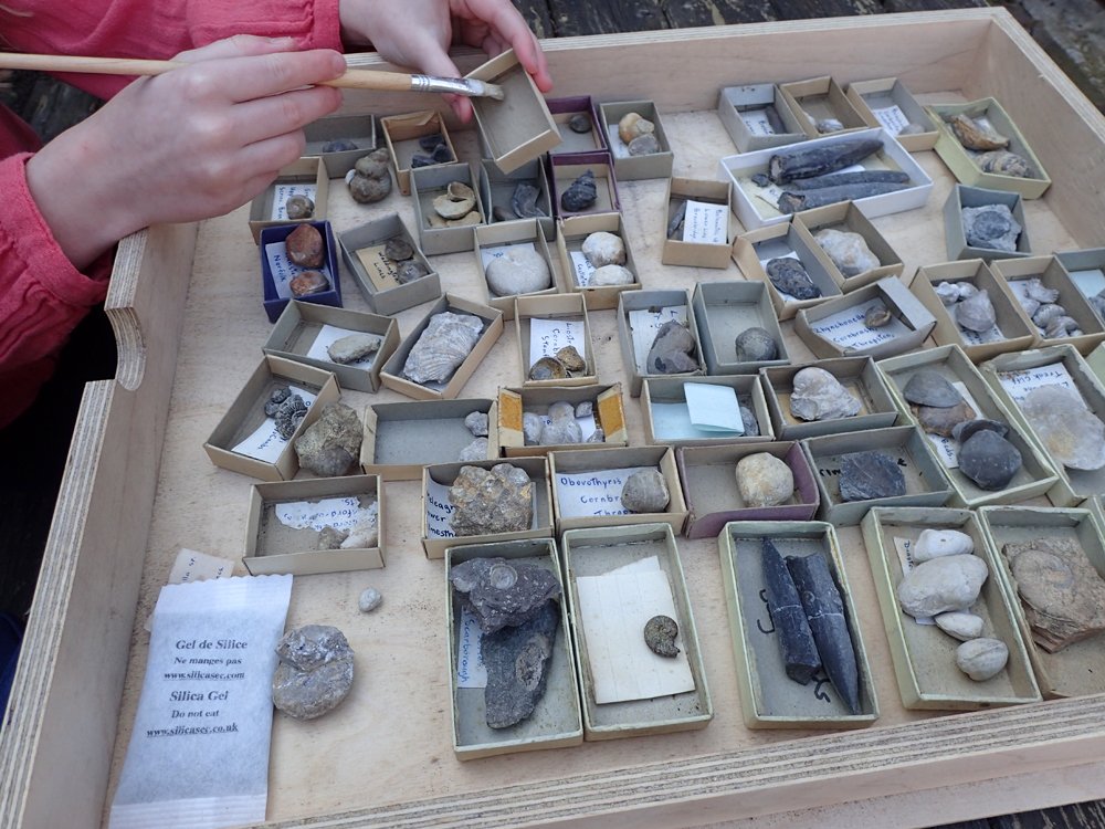 outfossiling's tweet photo. Team work for #fossilconservation and #fossilprep on another draw of fossils in old matchboxes while #selfisolating for #FossilFriday https://t.co/lrtidRgTzY