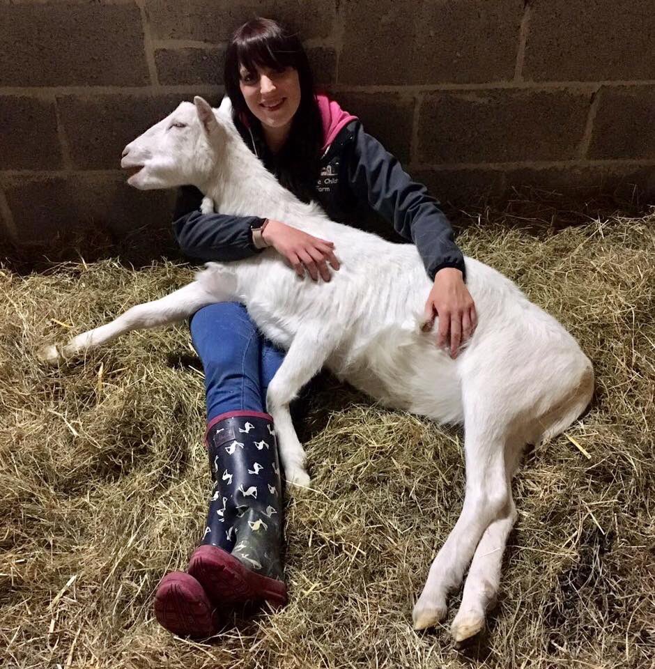 AnimalGoatacre's tweet photo. PLEASE SHARE !! 6.15pm TONIGHT!!
Storytelling with our Goats! Emma will read a story for anyone feeling isolated and in need of cheering up or anyone that just loves a story! ❤️🐐🐐❤️ link: https://t.co/l9EaOJH3T6
.
#storytime #isolation #live #coronavirus #love #animals #goats https://t.co/AJb1QUXxLP