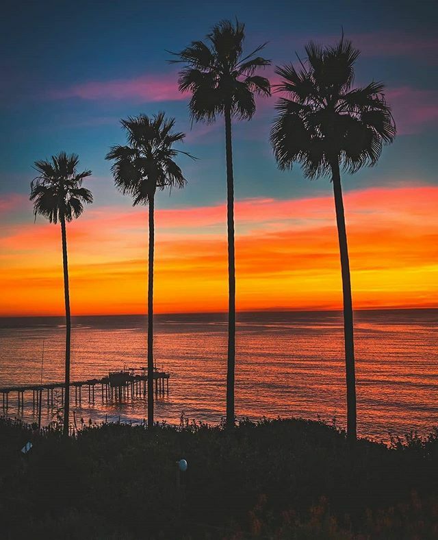 🌴 Photo By Featured Artist: @saul_visuals 🌴
Selected By: @maydas.touch
.
.
.
To Be Featured Make Sure You Tag
@hug_a_palmtree or Use #HUGAPALMTREE
.
.
#losangeles #photography #sunset #photooftheday #sunsetlovers #palmtrees #inspiration #landscape #n… ift.tt/2WNWVbe