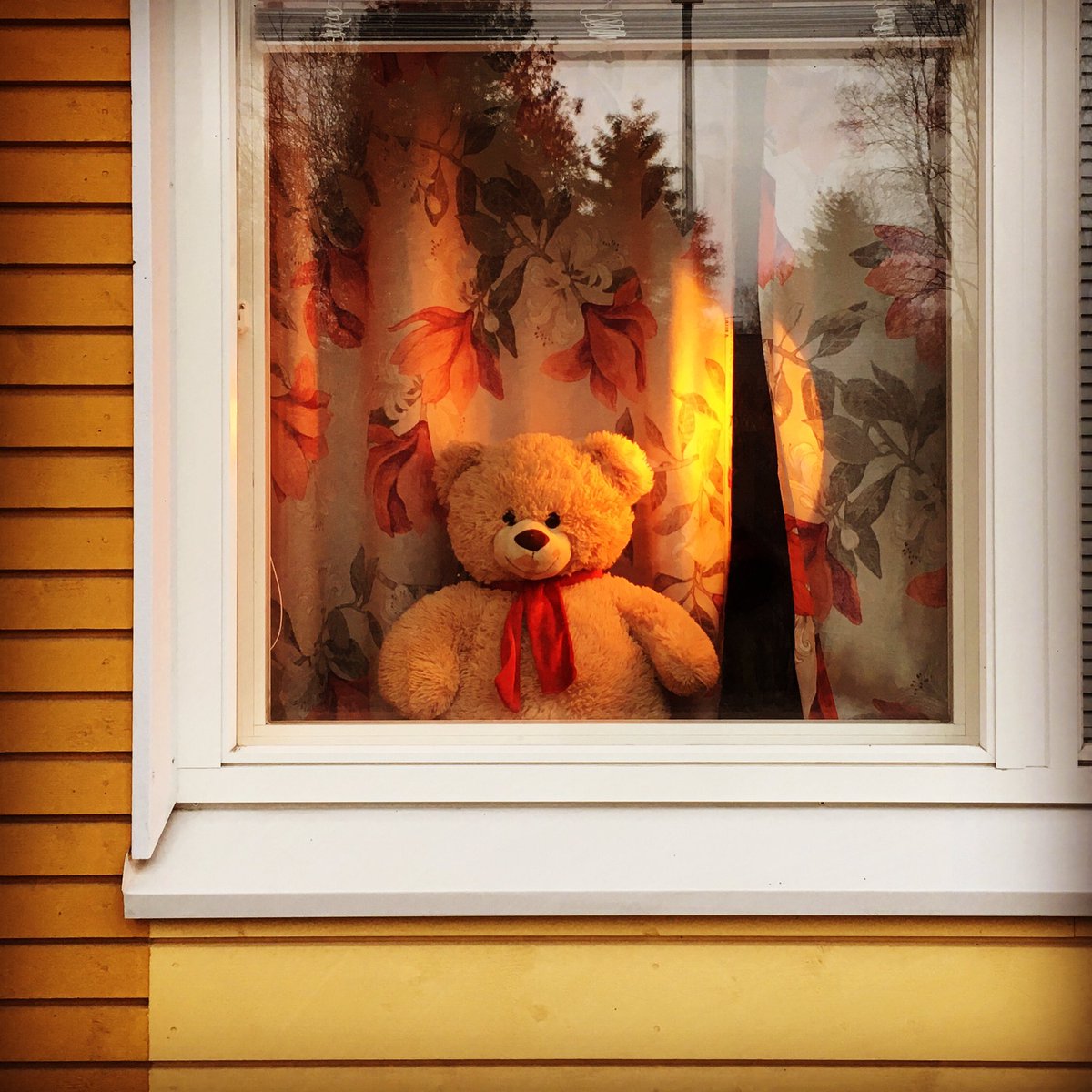 ramiaaltonen's tweet photo. Täällä on nalle asemissa. Pian tiitiäisen kanssa kierrokselle tarkastamaan näkyisikö muita. #etsinalle https://t.co/jtnm9fhmRS
