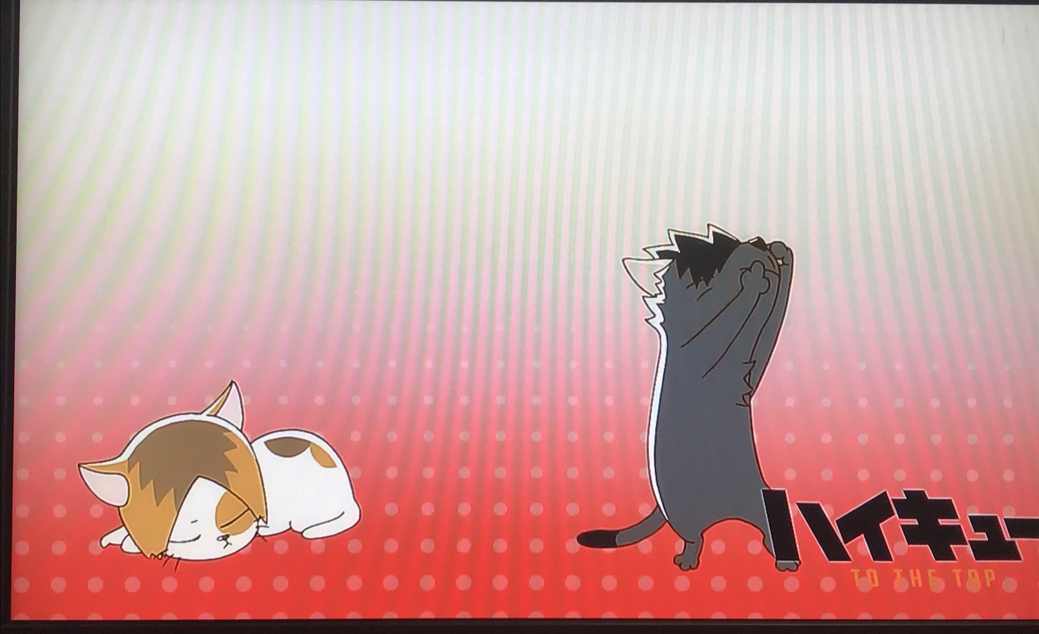 衣 アイキャッチ音駒と梟谷 かわいい ハイキュー T Co Um61z6mbzu Twitter