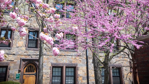lesley_u's tweet photo. Thinking spring and thinking of our Lesley family on this sunny Friday.
☀️🌸
Best wishes to all for a safe and restful weekend 💚
📷: Ali Trepanier '22 https://t.co/l47lE4AfHe