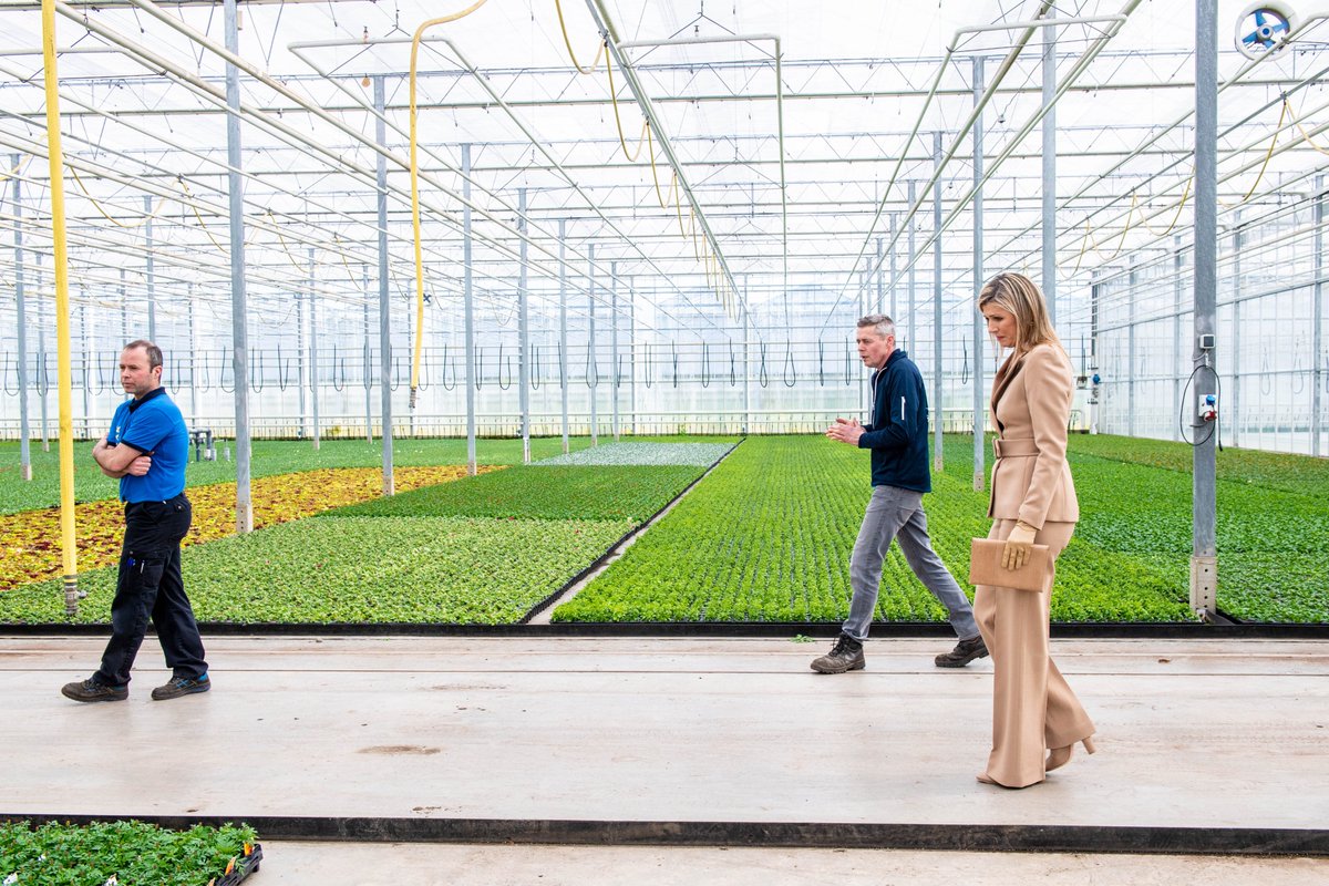 koninklijkhuis's tweet photo. Koningin Máxima bezoekt kwekerij Zuidbaak. Het bezoek vindt plaats in het kader van de uitbraak van het coronavirus (COVID-19). De vraag naar producten uit de sierteeltsector is sinds de uitbraak van het virus bijna helemaal weggevallen. https://t.co/Kd4FKxRLB3 #coronavirus https://t.co/Dgipu068YU