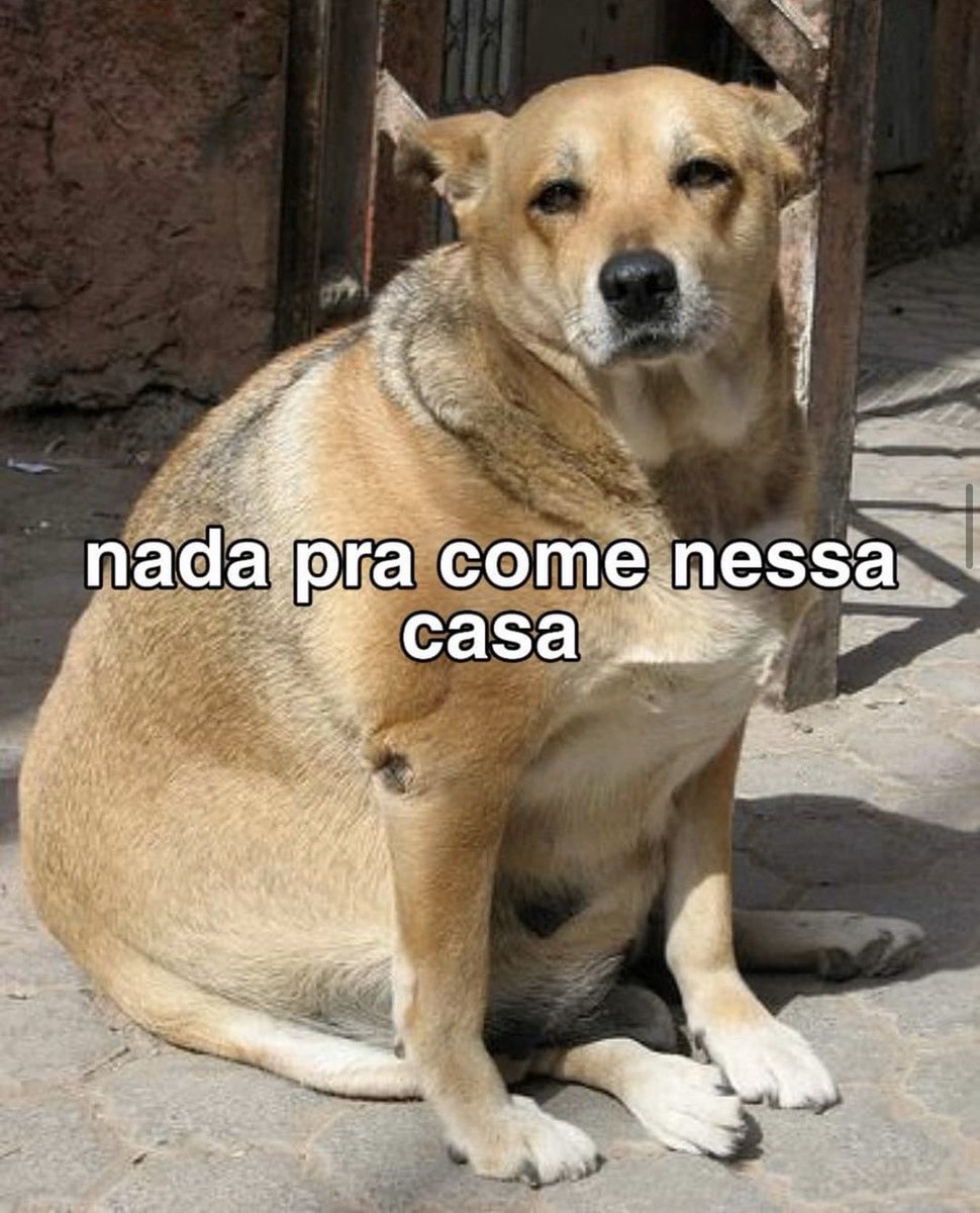 Criatives's tweet photo. Pra onde será que foi toda comida? https://t.co/NYOrplKn2N