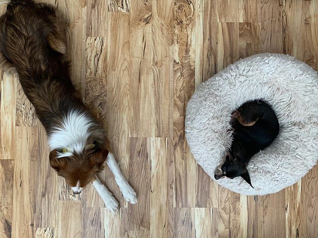 amandairene48's tweet photo. Easy like Friday morning. https://t.co/blp4X1Rerk