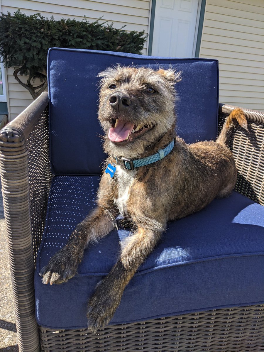 SHSFlakker's tweet photo. My new co-teacher insisted that we do some work outside today βοΈ https://t.co/8GMBqE6Dwj