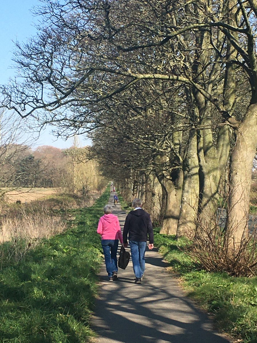 I don’t get people driving somewhere to go for a walk, the usually quiet lanes were busy with lots of parked cars but the fields were quiet as normal. I #wearpinkforhol and even managed to find a bit of mud👍