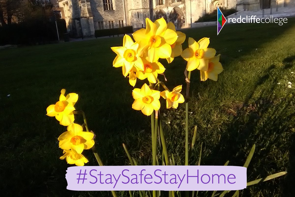 redcliffeuk's tweet photo. Take care of yourselves this weekend - we are continuing to pray for our students, staff and friends around the world at this time. #StaySafe #StaySafeStayHome https://t.co/ziJakrFWmh