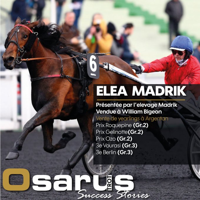 vente trotteur cabourg