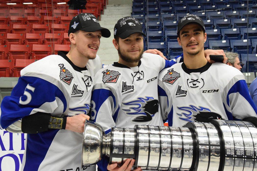 SJSeaDogs's tweet photo. Tonight was scheduled to be the first Sea Dogs playoff game in three seasons. As much of a downer as that is, it makes us remember the last time we played a playoff game, and then we don't feel so bad. ๐ #SeaDogs15 https://t.co/imk5vldv9f