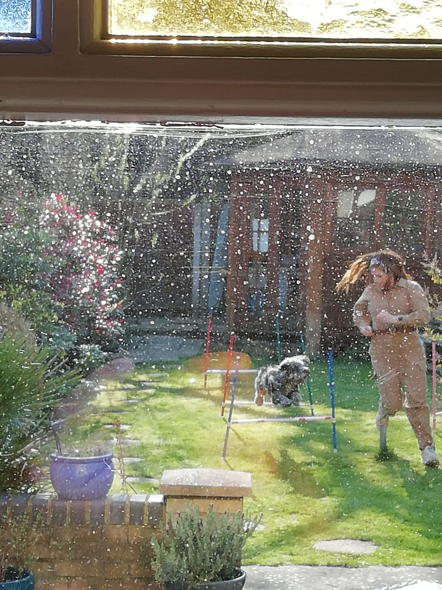 BarnetLibraries's tweet photo. Some lunchtime fun from library staff earlier today - Peppa the pooch doing her daily exercise routine - quarantine style! Share the view #throughyourwindow with us! https://t.co/KL0HU1Iroj