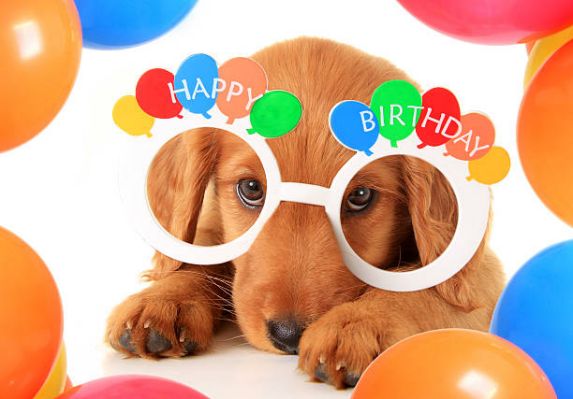 Teri_fied's tweet photo. Happy y to the lovely &amp; talented @louisebrealey 🎉🎈🎂🥳 https://t.co/i4h7iCb1pl