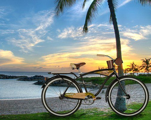 playacarplaya's tweet photo. There are always new things to discover, Book your bike today.

#bikerentalsplayadelcarmen #rentadebicisenplayadelcarmen #alquilerbicicletas #playadelcarmen #playacarbikerentals #playacarbikerents #rentbikesplayadelcarmen
#bestbikerentals #bikedeliveryplayadelcarmen https://t.co/J20CgEElH1