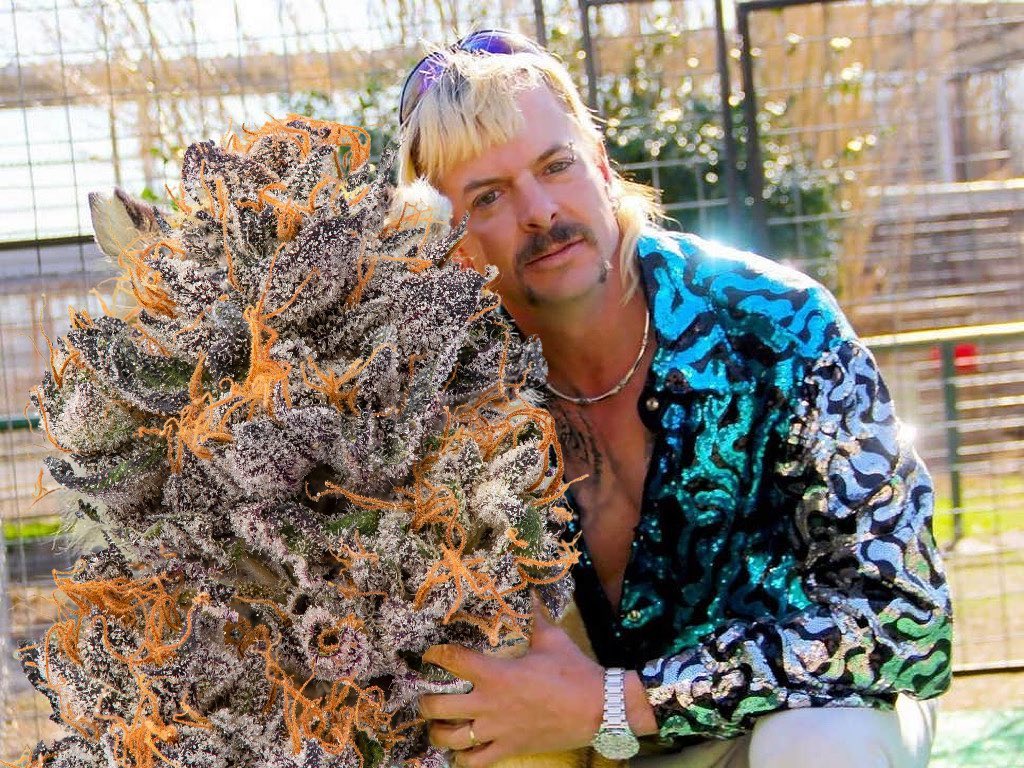 paycartera's tweet image. We are ready for the weekend. #NetflixandChill
📸 IGer: @connected.california