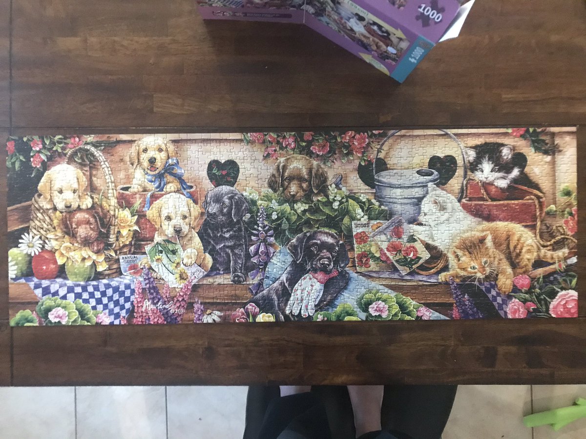 LockabyMonica's tweet photo. Remember to take some time to do a fun family activity. This is ours. @GISDhealth #GISDAlwaysConnected # GISDFunFriday https://t.co/H6EVmafMw2