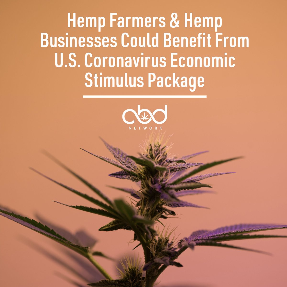 cbdnetworknews's tweet photo. According to Hemp Industry Daily, in the largest economic rescue package in American history, the Senate and the White House reached a deal to spend $2 trillion to keep the U.S. economy afloat. #Hemp is a legal crop, therefore farmers and businesses should be eligible for relief. https://t.co/Uykuu9yDbg