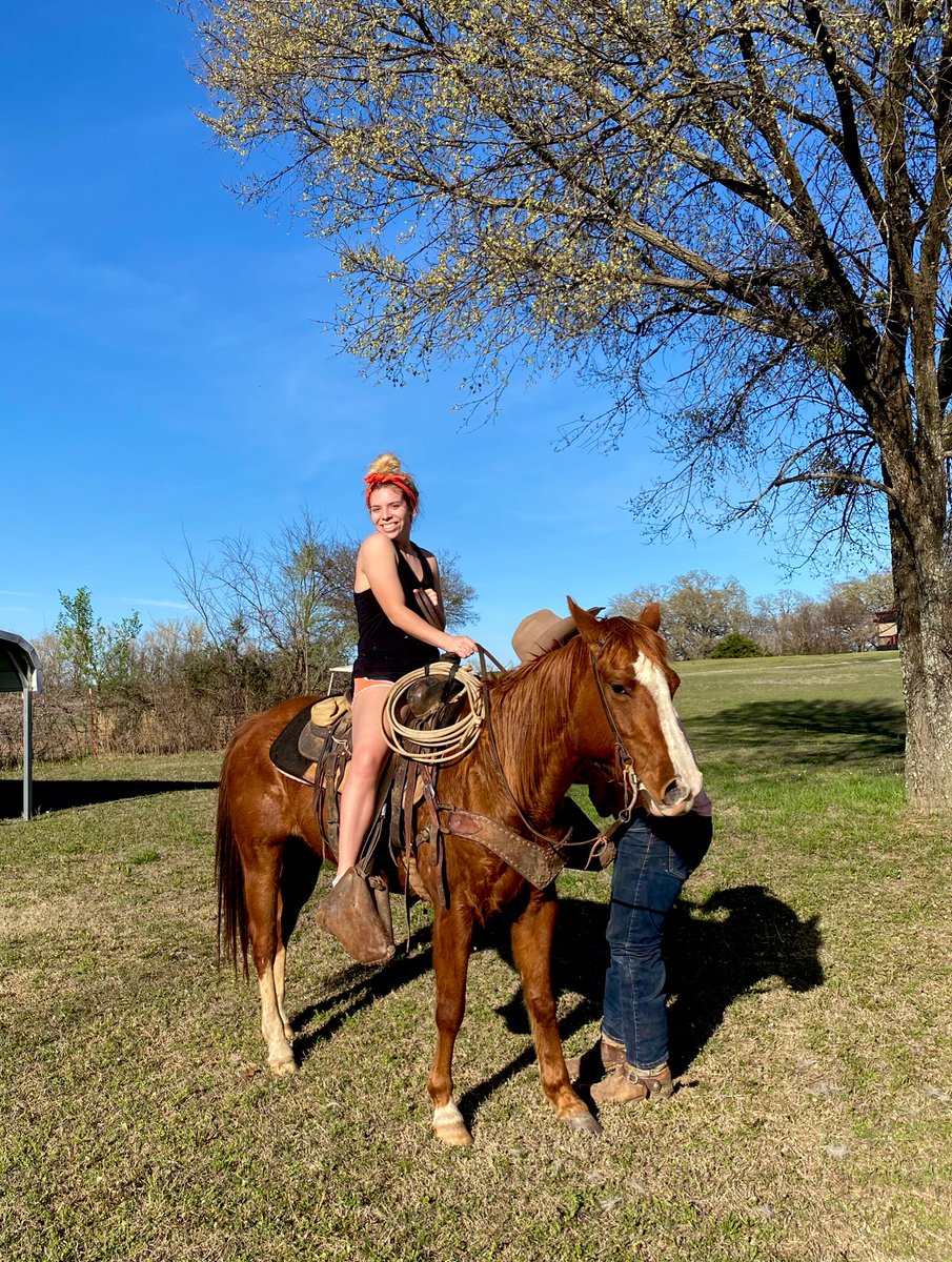 kyleedacole's tweet photo. Someday I will own horses 💛 https://t.co/EMSBuqsJkl
