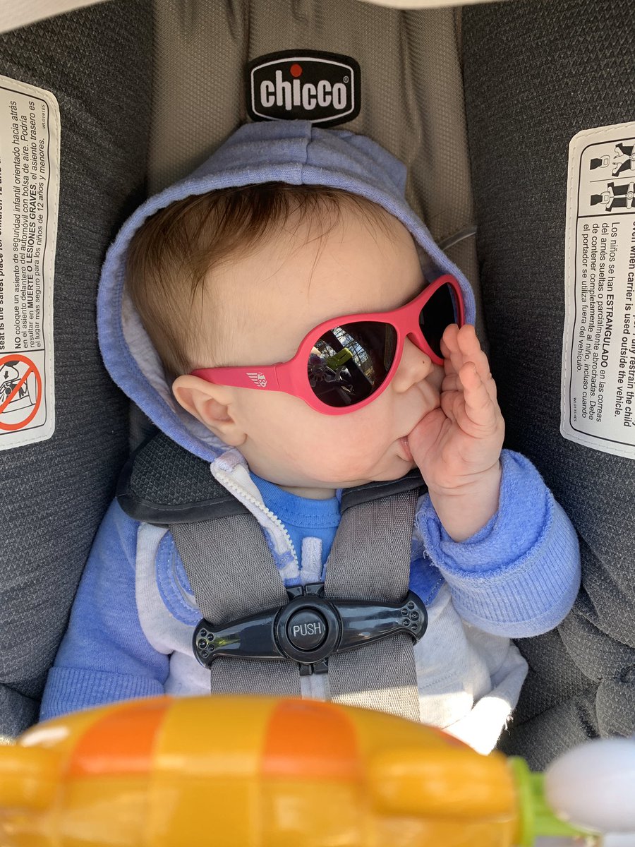 whitney_show4's tweet photo. Just living her best life. #lunchtimewalks #babiators https://t.co/V4Gt4Rlv0P