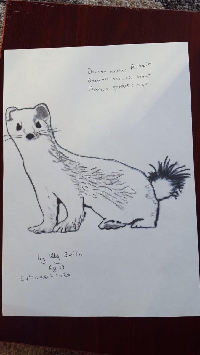 a_bates06's tweet photo. This drawing or Altair is submitted by my best friend Lilly who unfortunately doesn’t have Twitter so I’m here to post it for her @darkmaterials #DrawMyDaemon https://t.co/TU0zoM1F4u