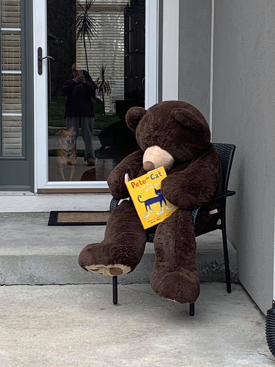 ERamseyMath's tweet photo. My parents have a giant bear named Bubba, and he has been getting up to some shenanigans to pass the time during this period of #socialdistancing! I’ll keep you posted! #WheresBubba https://t.co/HEQUIOGGyK