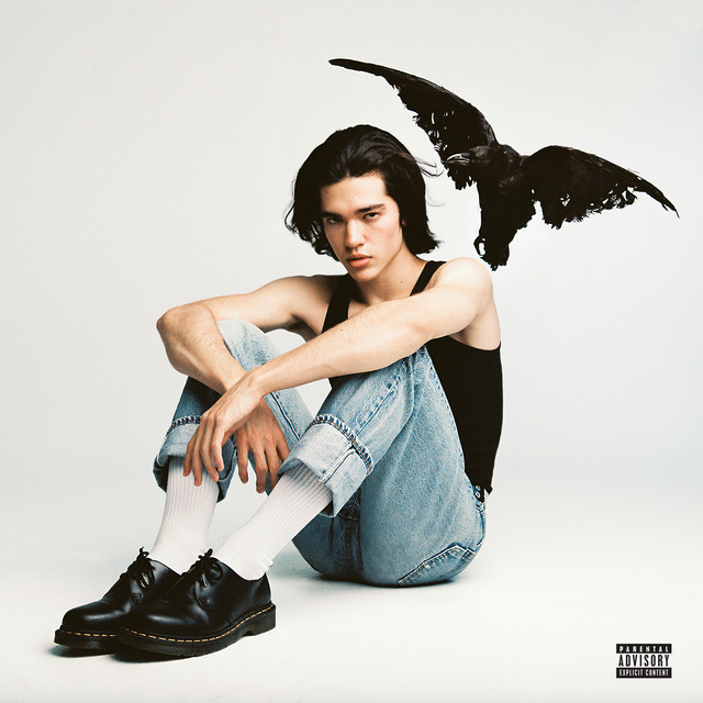 nilsxwillam's tweet photo. So far 2 best albums of 2020
#kidcrow #FutureNostalgia https://t.co/J0C0pNPaEl
