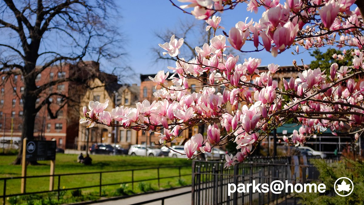 NYC Parks tweet media