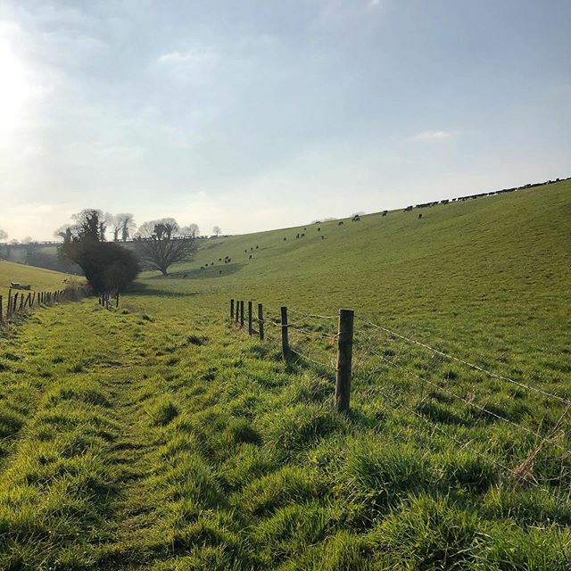 Somersalt tweet media