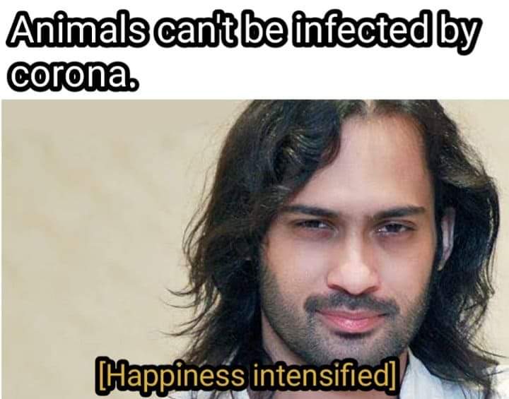 BreakingMewmes's tweet photo. #headphonesshowsubkilega
#headphoneshowsubkilega
#PakMemeCommunity https://t.co/dCpNBCDVXh