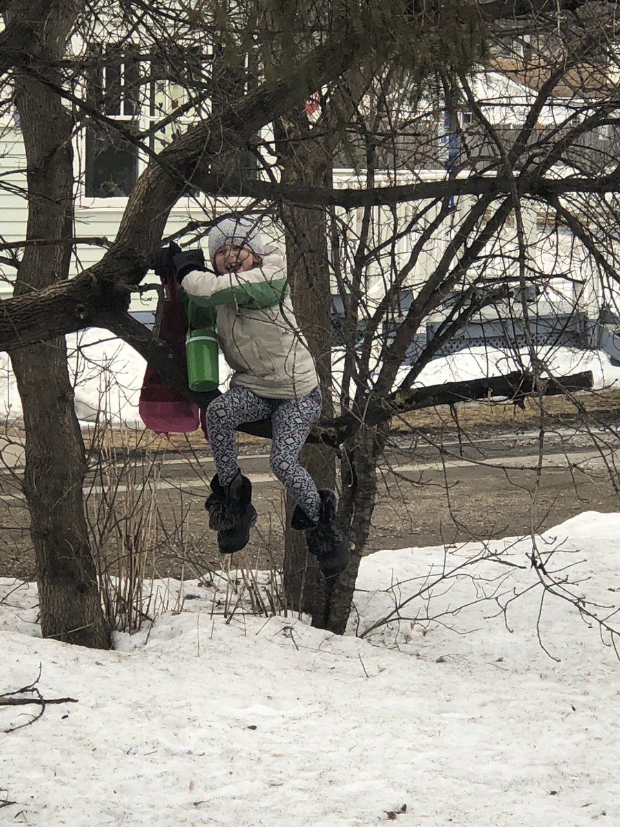 JenKritzberger's tweet photo. @MrStrandTECH this is Nora in the tree, looking for birds, mammals and insects and her drawing of what she saw🤣 She also has a book she’s reading and a snack in there of course! https://t.co/5nhlm3hqrv