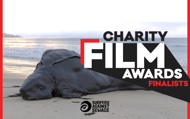 sascampaigns's tweet photo. 🎉🙌🎉🙌🎉Yesss! We're stoked that your votes helped us make the @CharityFilm_ Awards final with plastic pollution film #TheCreature! 🐋🎬

RT to help celebrate. 

Your vote could now help us win. Watch the film &amp; please vote >> https://t.co/pXnsQrbdOW https://t.co/tnCPtPaxiC