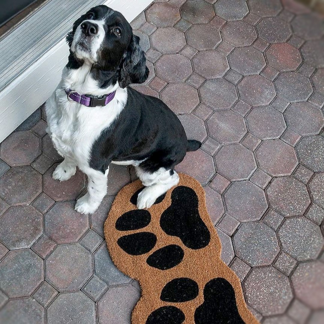 doormats's tweet photo. What a cutie! He's so happy to get in his custom ordered mat for his new home! #Welcometothedoghouse
Have a scroll through our website!
https://t.co/iePl17IsMg
#cocomats #puppy #dog https://t.co/xcSwIvjM9w