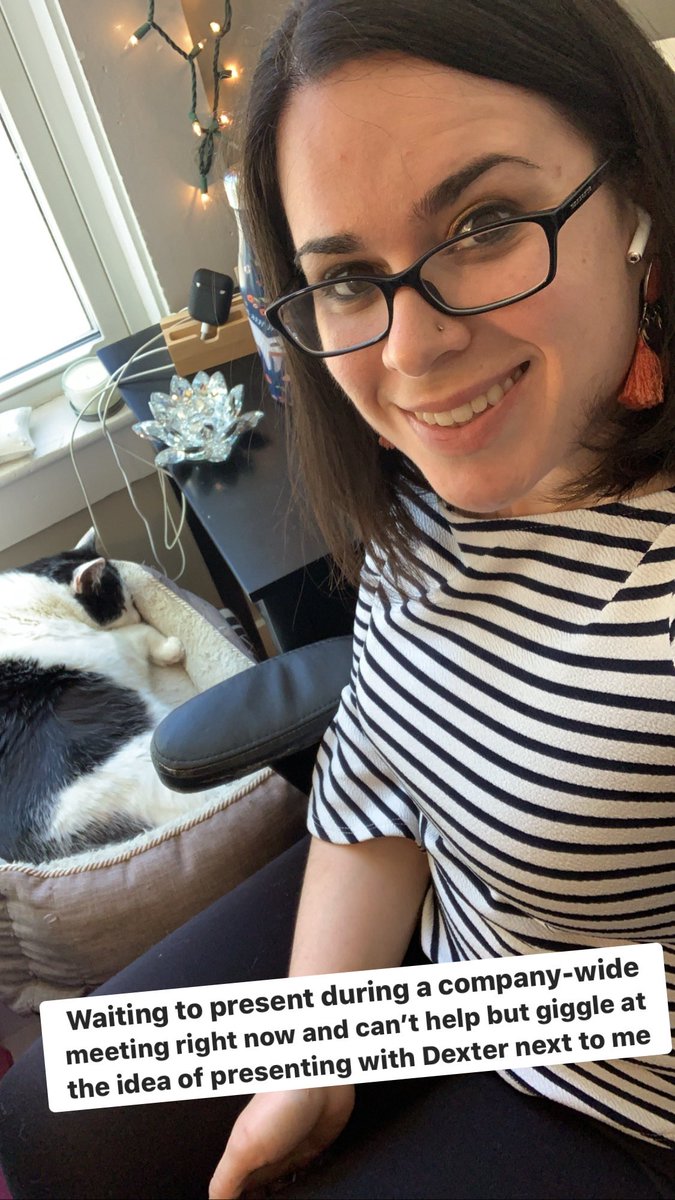 This quarantine really makes for some silly moments. I’m about to present during our company-wide meeting with my kitty snoring beside me. #workingfromhome